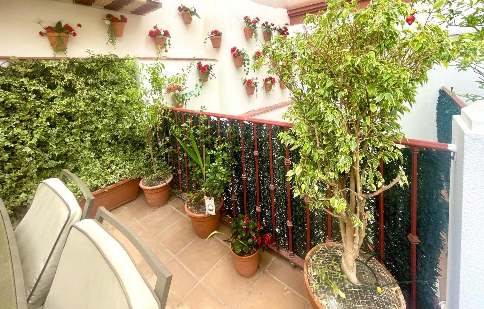 מאלגה Maravilloso Apartamento Centrico De 70M2, Jardin Propio 40M2 Con Piscina Para Ninos Y Parking Opcional מראה חיצוני תמונה